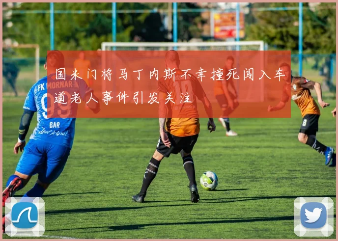 国米门将马丁内斯不幸撞死闯入车道老人事件引发关注