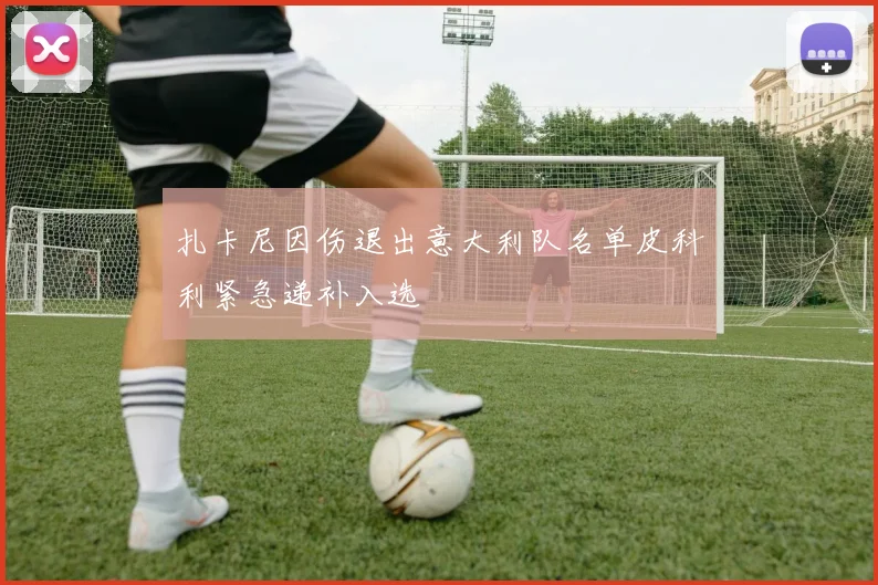 扎卡尼因伤退出意大利队名单皮科利紧急递补入选