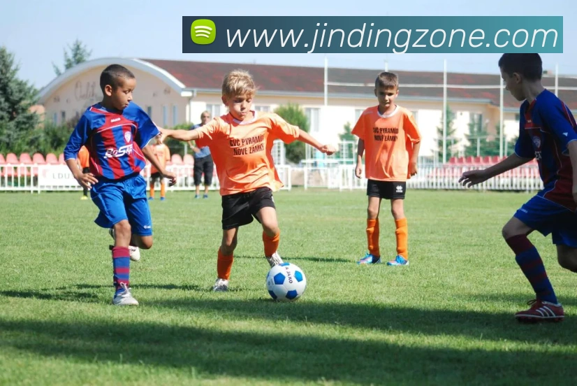 金鼎app平台平台生态图